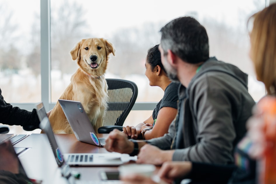Improving Relationships at Work